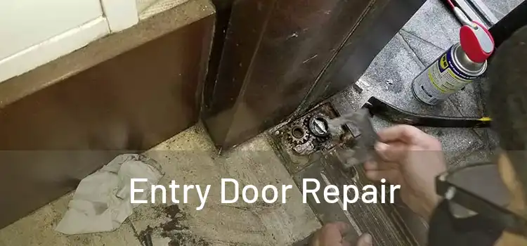  Entry Door Repair 